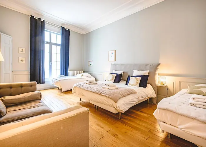 The Gorgeous Hyper Center Private Garden Apartment Reims